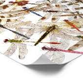 Dragonaie overal poster (Hoek)