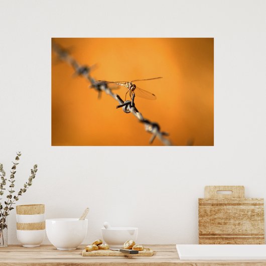 Dragondraad Poster (Keuken)