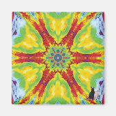 Dragoneye caleidoscoop magneet (Voorkant)