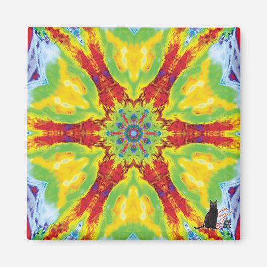 Dragoneye caleidoscoop magneet (Voorkant)