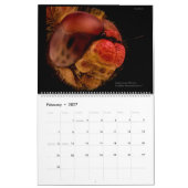 Dragonflies 2022 kalender (Feb 2027)
