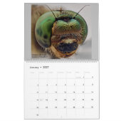 Dragonflies 2022 kalender (Jan 2027)
