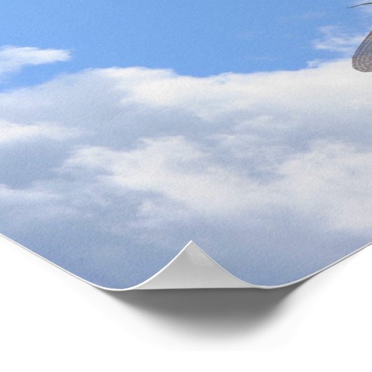 Dragonflies blauwe hemel en witte wolken poster (Hoek)