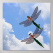 Dragonflies blauwe hemel en witte wolken poster (Voorkant)