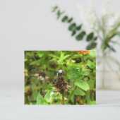 Dragonflies Blue Dragonfly op een foto van een blo Briefkaart (Staand voorkant)