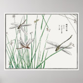 Dragonflies en Reed Grass van Morimoto Toko, Poster (Voorkant)