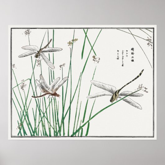 Dragonflies en Reed Grass van Morimoto Toko, Poster (Voorkant)