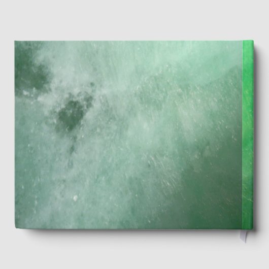 Dragonflies Gastenboek (Achterkant)