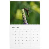 Dragonflies in Nature Wall Calendar Cute Kalender (Mar 2026)