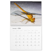 Dragonflies in Nature Wall Calendar Cute Kalender (Jan 2026)