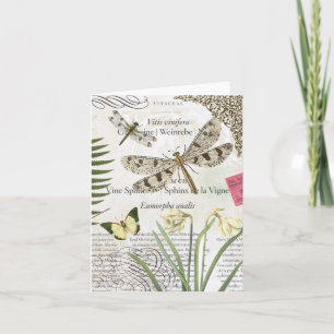 Dragonflies notecard Kaart