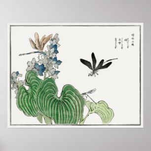 Dragonflies on a Water Hyacinth by Morimoto Toko, Poster