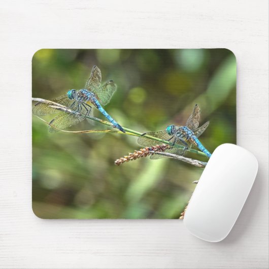 Dragonflies op Branch Mousepad Muismat (Met muis)