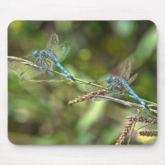 Dragonflies op Branch Mousepad Muismat (Voorkant)
