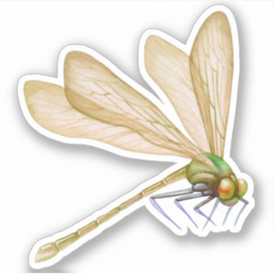 Dragonflies Sticker