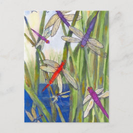 Dragonflies Summer Briefkaart