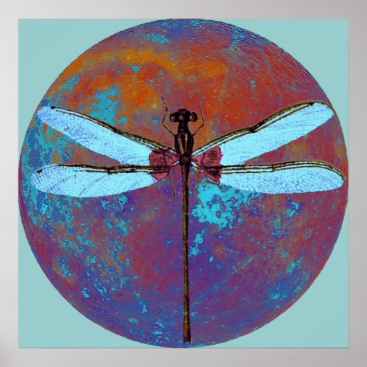 Dragonflight Poster (Voorkant)