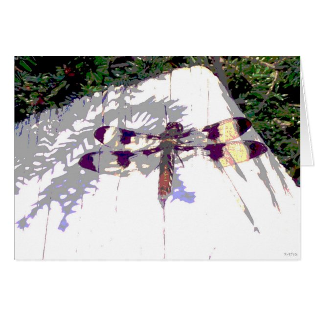 Dragonfly (Voorkant Horizontaal)
