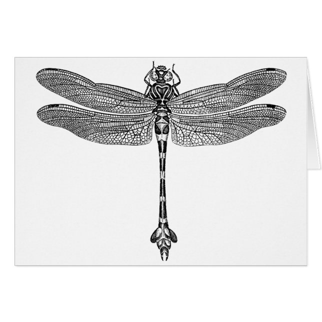 Dragonfly (Voorkant Horizontaal)