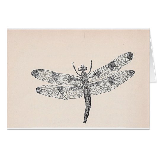 Dragonfly (Voorkant Horizontaal)