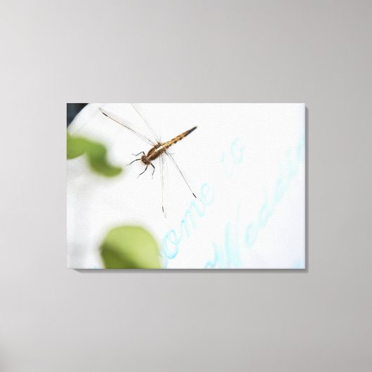 Dragonfly 12 canvas afdruk (Voorkant)