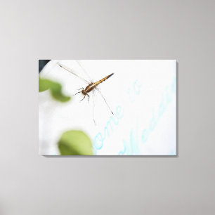 Dragonfly 12 canvas afdruk