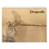 Dragonfly 2025 kalender (Hoes)