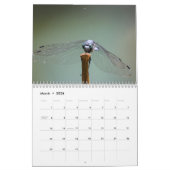 Dragonfly 2025 kalender (Mar 2026)
