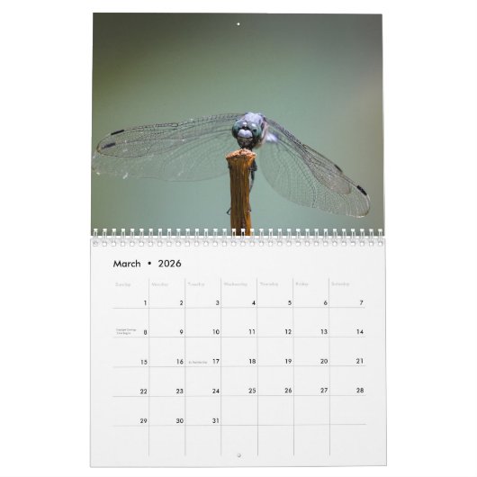 Dragonfly 2025 kalender (Mar 2026)