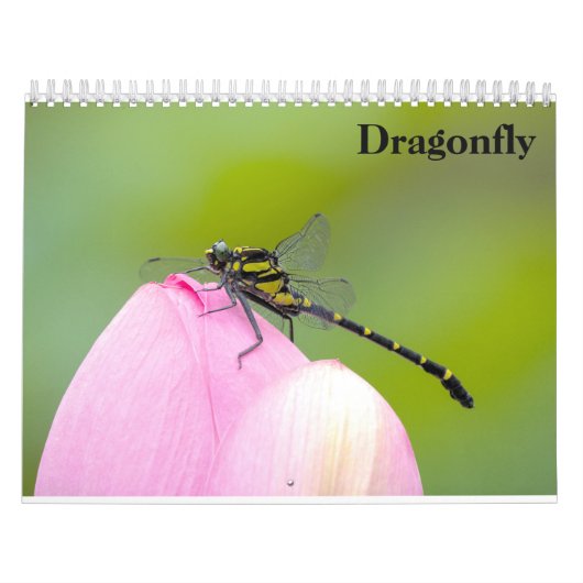 Dragonfly 2025 kalender (Hoes)