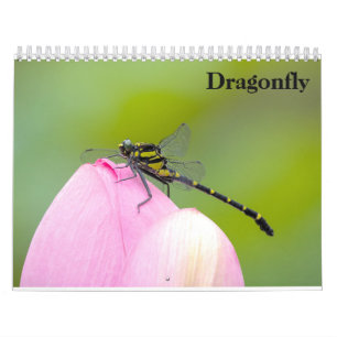 Dragonfly 2025 kalender
