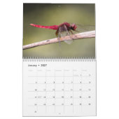 Dragonfly 2025 kalender (Jan 2027)