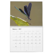 Dragonfly 2025 kalender (Feb 2027)