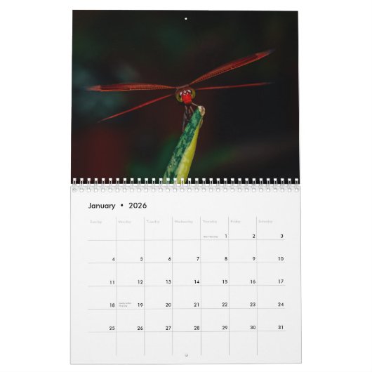 Dragonfly 2025 kalender (Jan 2026)