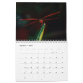 Dragonfly 2025 kalender (Jan 2027)