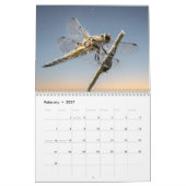 Dragonfly 2025 kalender (Feb 2027)