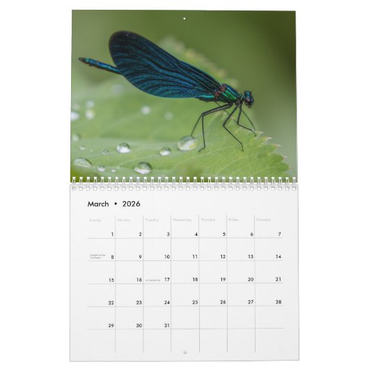 Dragonfly 2026 kalender (Mar 2026)