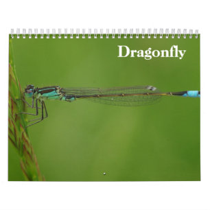 Dragonfly 2026 kalender
