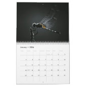 Dragonfly 2026 kalender (Jan 2026)