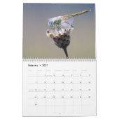 Dragonfly 2026 kalender (Feb 2027)