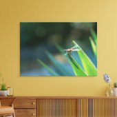 Dragonfly 2 canvas afdruk (Insitu (Woonkamer))