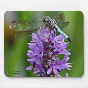 Dragonfly 2 muismat