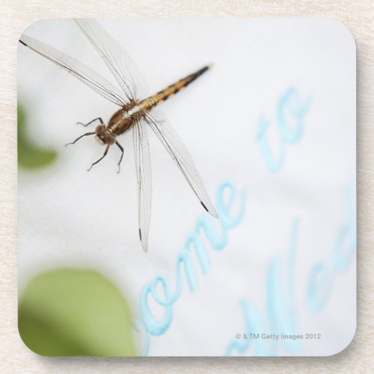 Dragonfly 4 drankjes onderzetter (Voorkant)