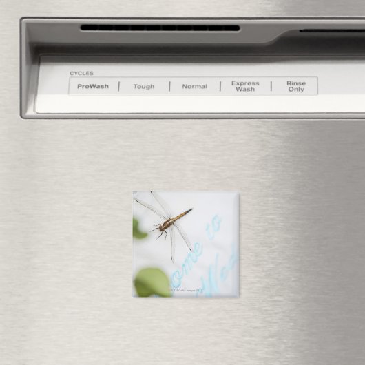 Dragonfly 4 magneet (Insitu (Vaatwasser))