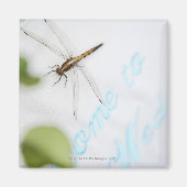 Dragonfly 4 magneet (Voorkant)