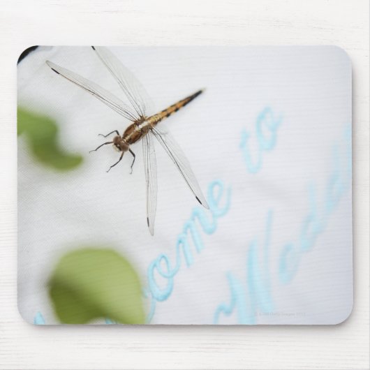 Dragonfly 4 muismat (Voorkant)