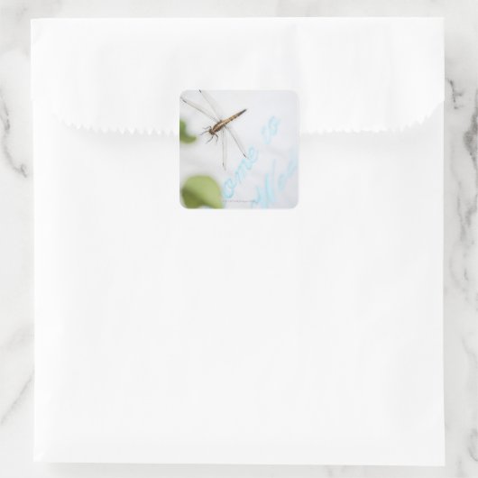 Dragonfly 4 vierkante sticker (Tas)
