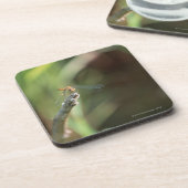 Dragonfly 5 bier onderzetter (Linkerzijde)