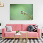 Dragonfly 5 canvas afdruk (Insitu (Woonkamer))