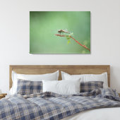 Dragonfly 5 canvas afdruk (Insitu (Slaapkamer))
